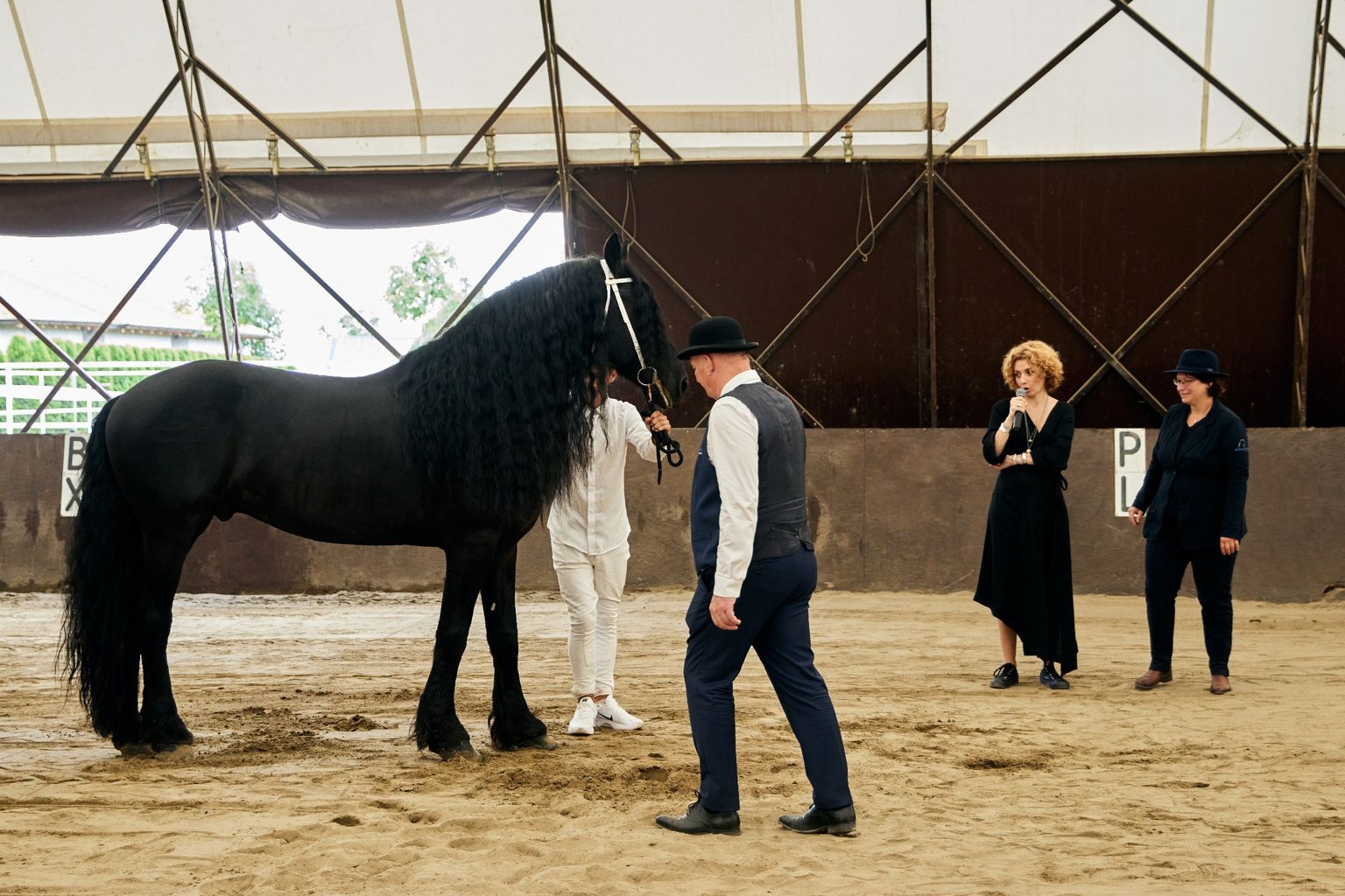 KFPS ROYAL FRIESIAN