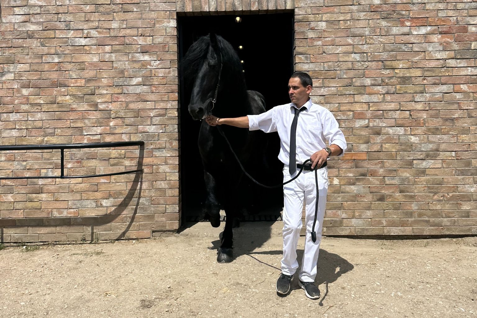 KFPS ROYAL FRIESIAN