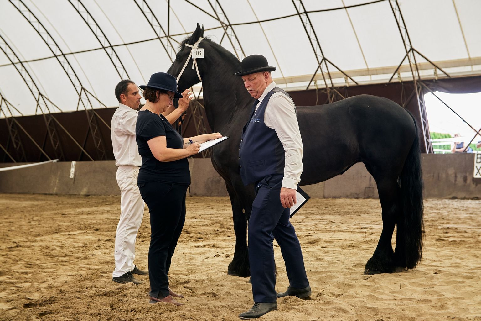 KFPS ROYAL FRIESIAN